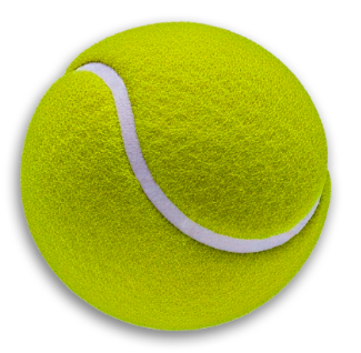 Pelota